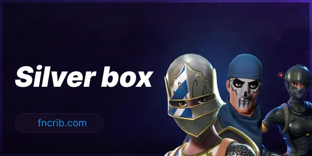 Silver box, NFA Fortnite account